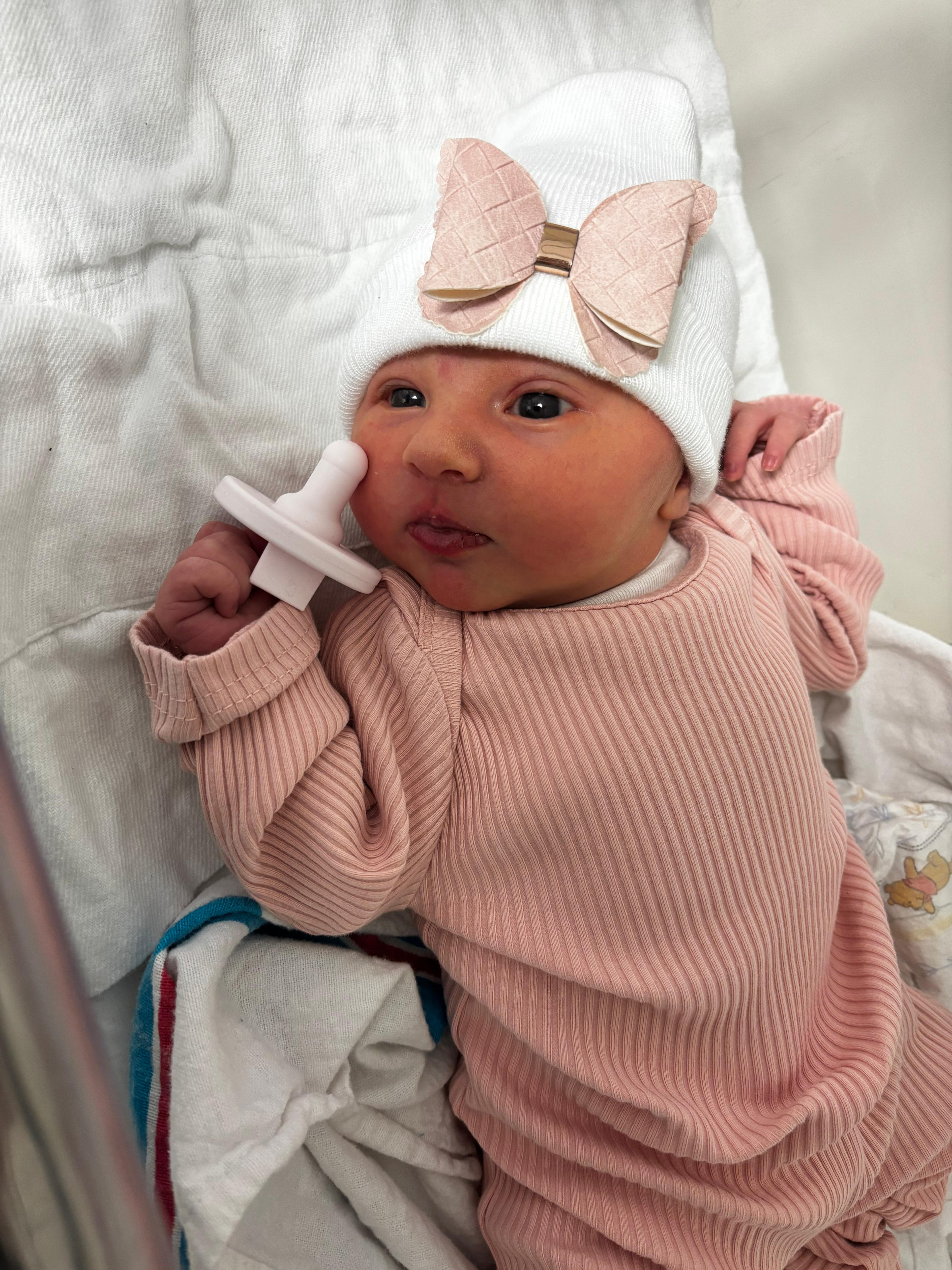 Stunning butterfly minky set