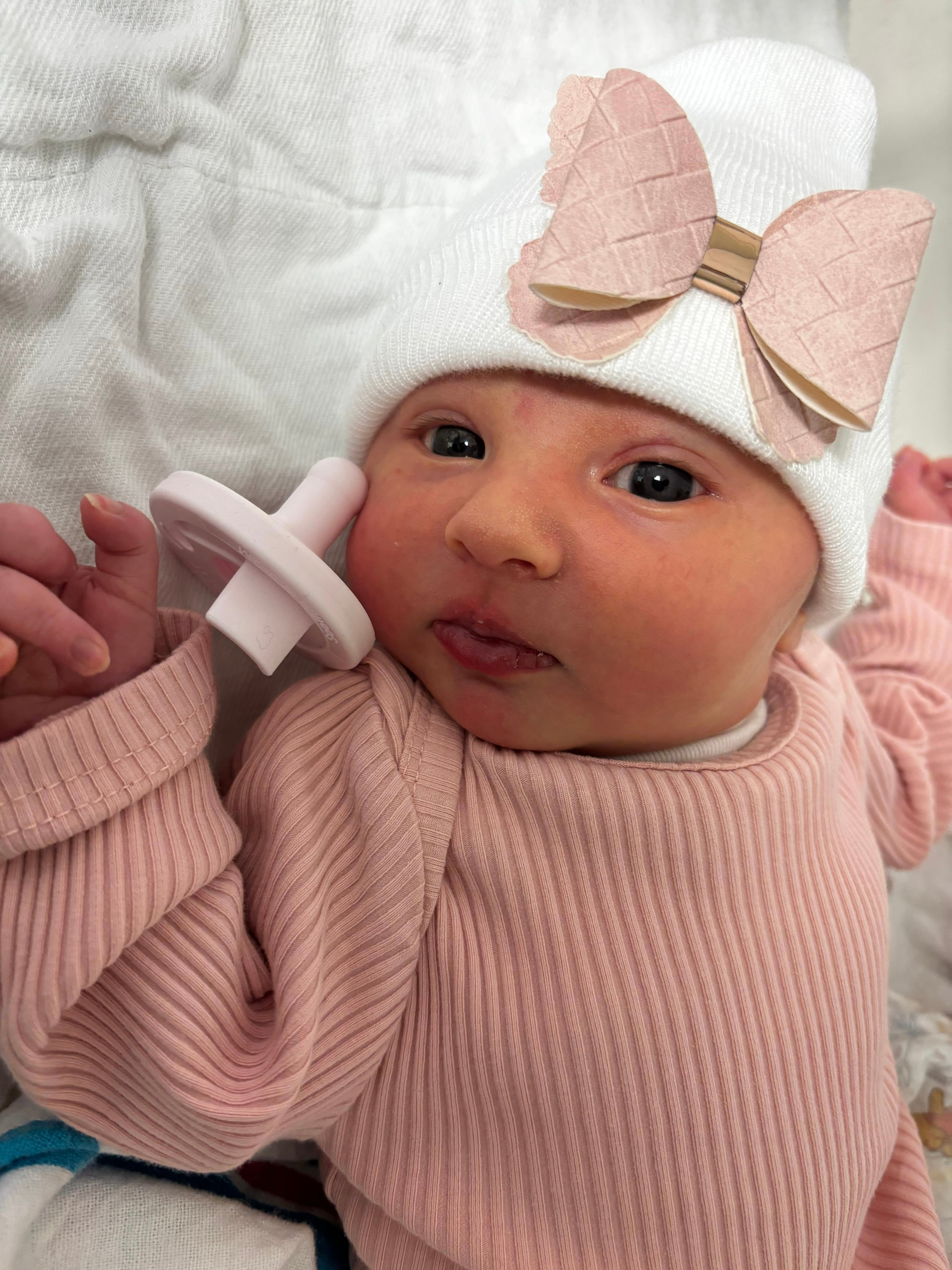 Stunning butterfly minky set