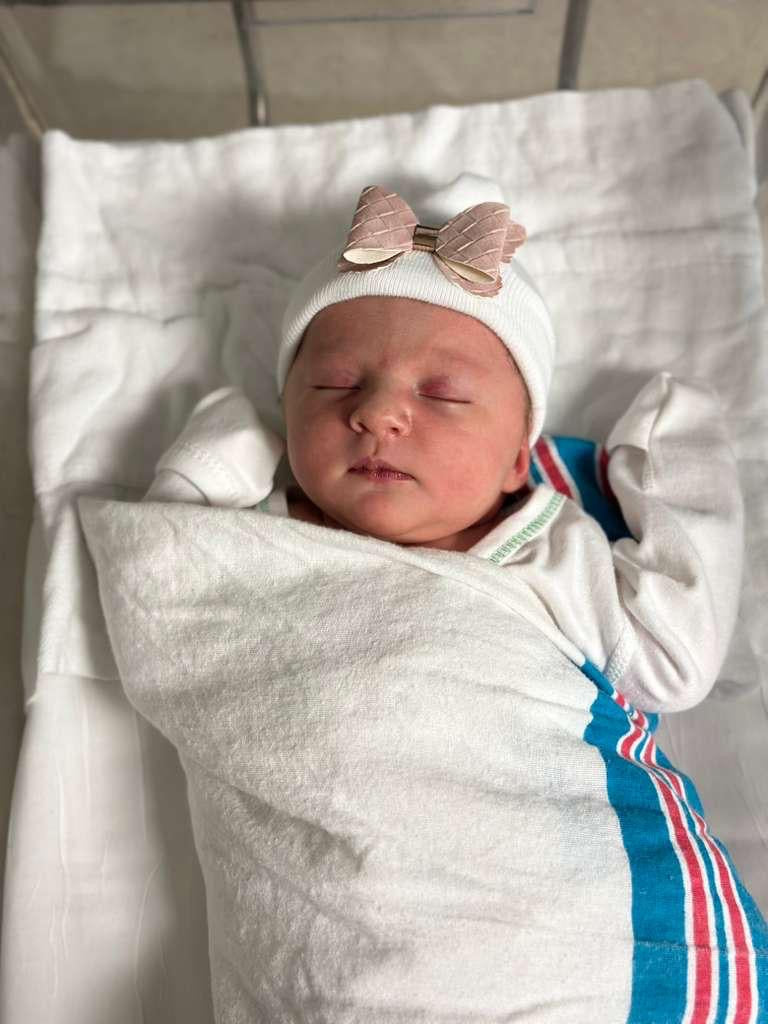 Stunning butterfly minky set