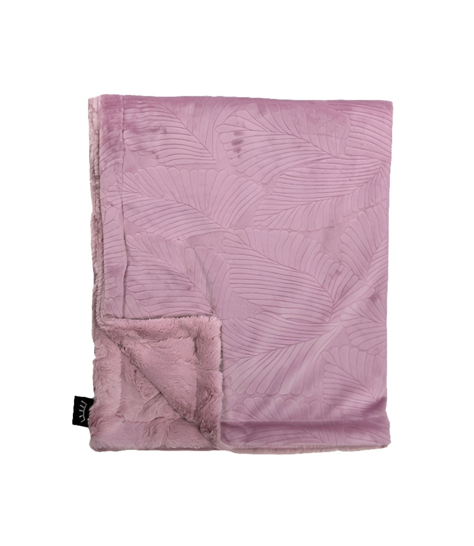 NEW vine minky blanket